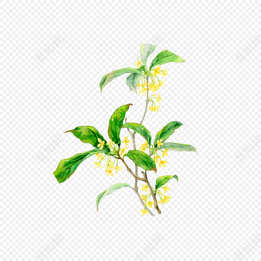 ܹͨز