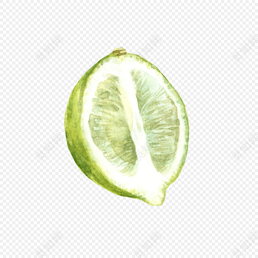 ֻˮʲ廭