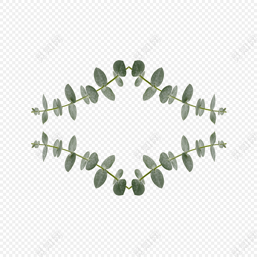 对称树枝绿叶植物