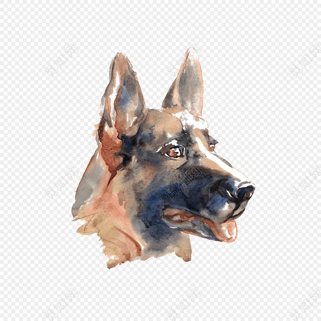 警犬狗头水彩背景素材
