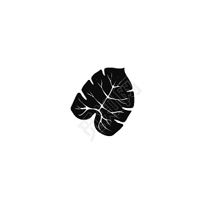 树叶素描素材