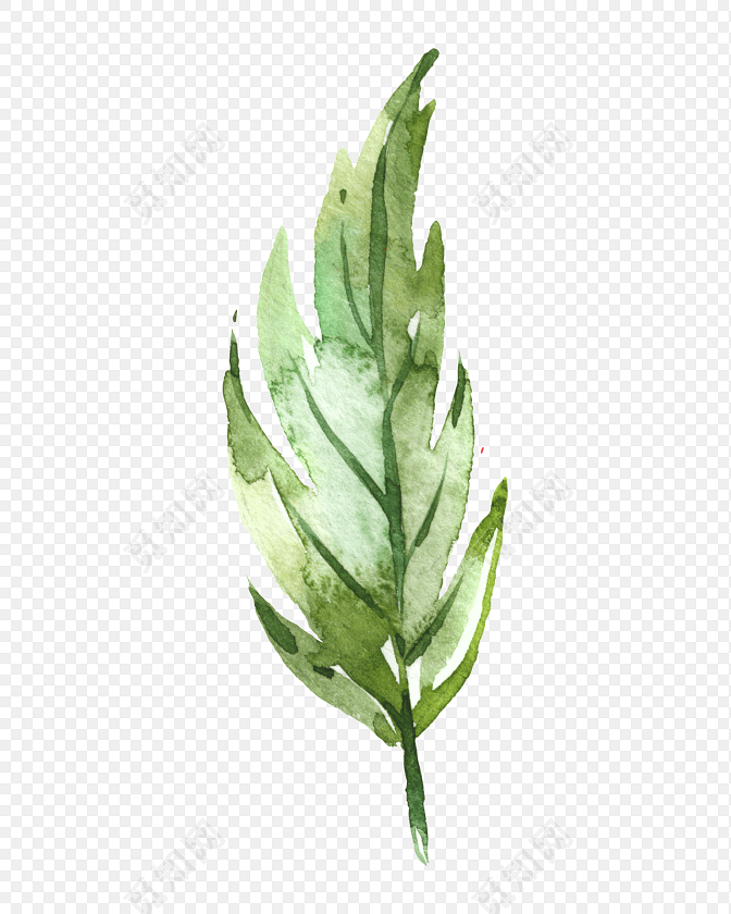 手绘水彩树叶素材