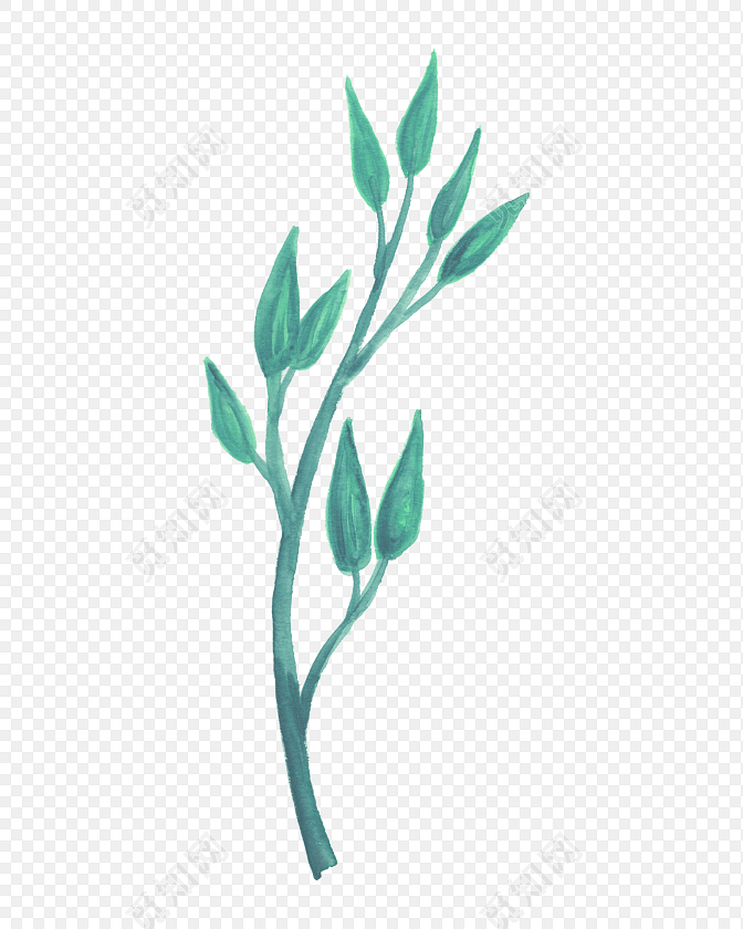 手绘水彩植物简约树叶素材