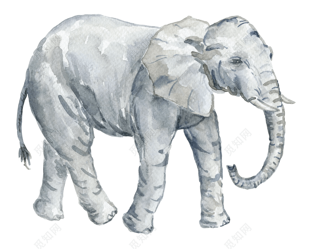 清新手绘水彩风大象动物剪影设计素材