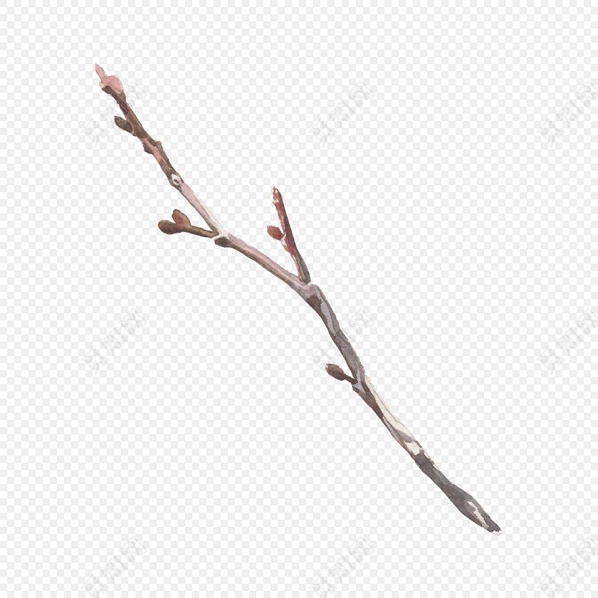 手绘清新桃花花苞树枝设计树枝素材