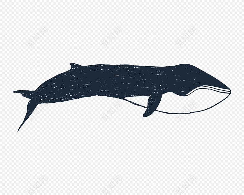 黑白水墨绘画鲸鱼素材