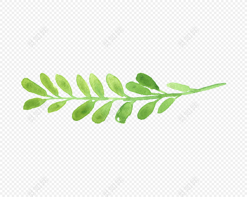 水彩绘画植物绿色叶子元素素材