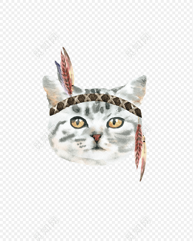 猫咪素材