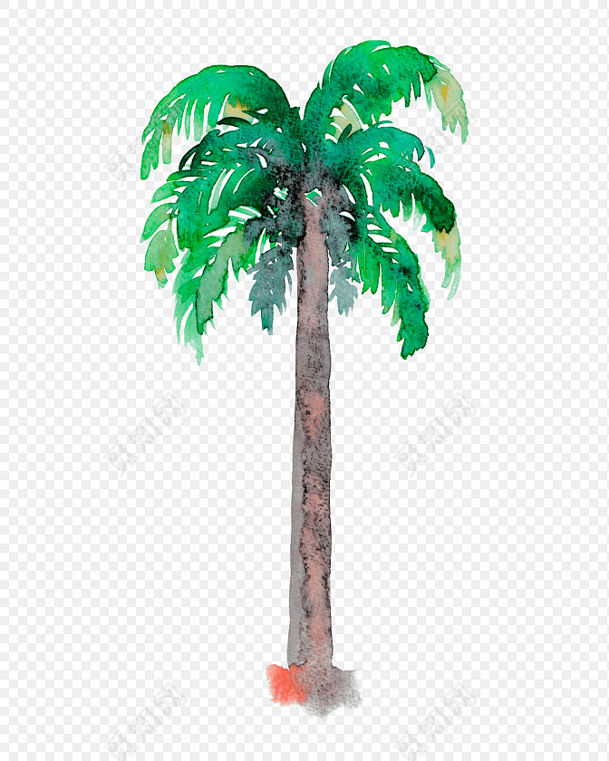 手绘水彩椰子树素材