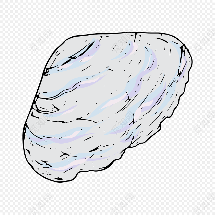 彩色简笔画彩色贝壳素材
