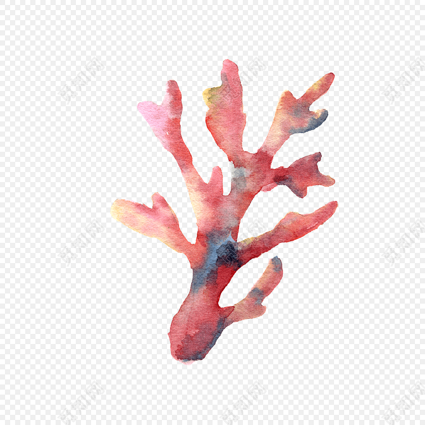 手绘水彩珊瑚