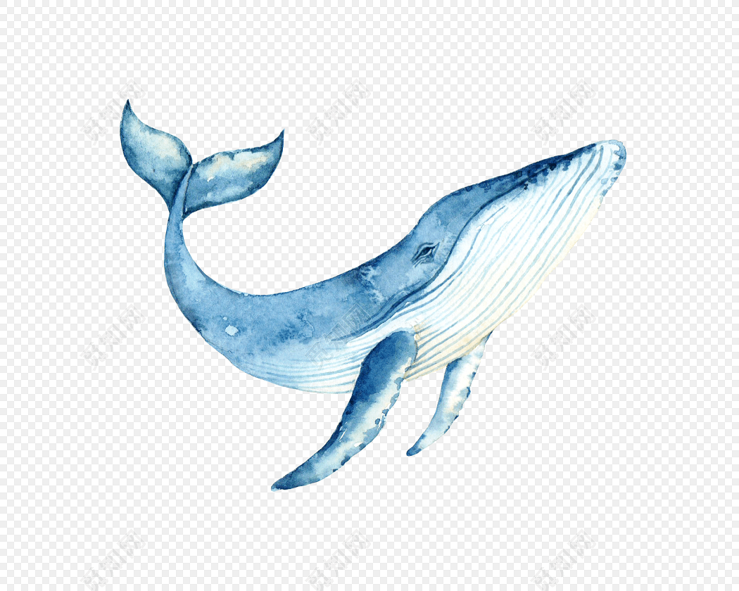 动物手绘海豚动物剪影蓝色水彩