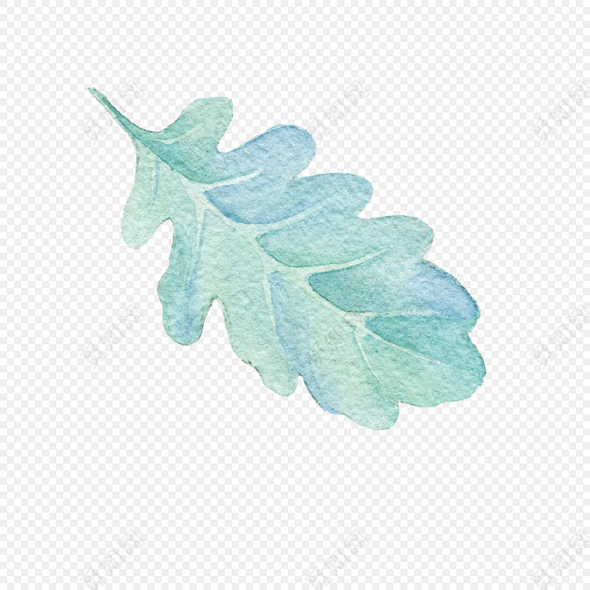 手绘叶子矢量素材