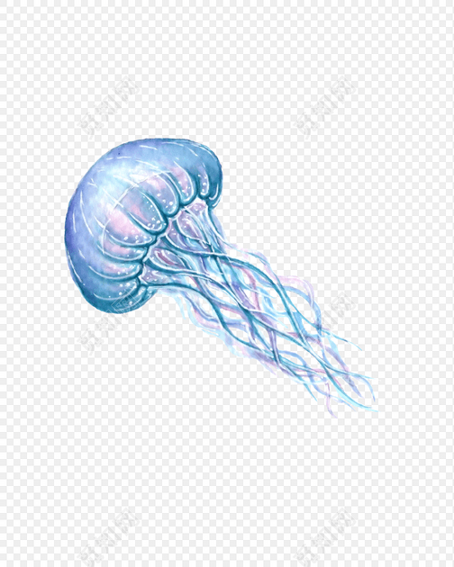 水彩水母