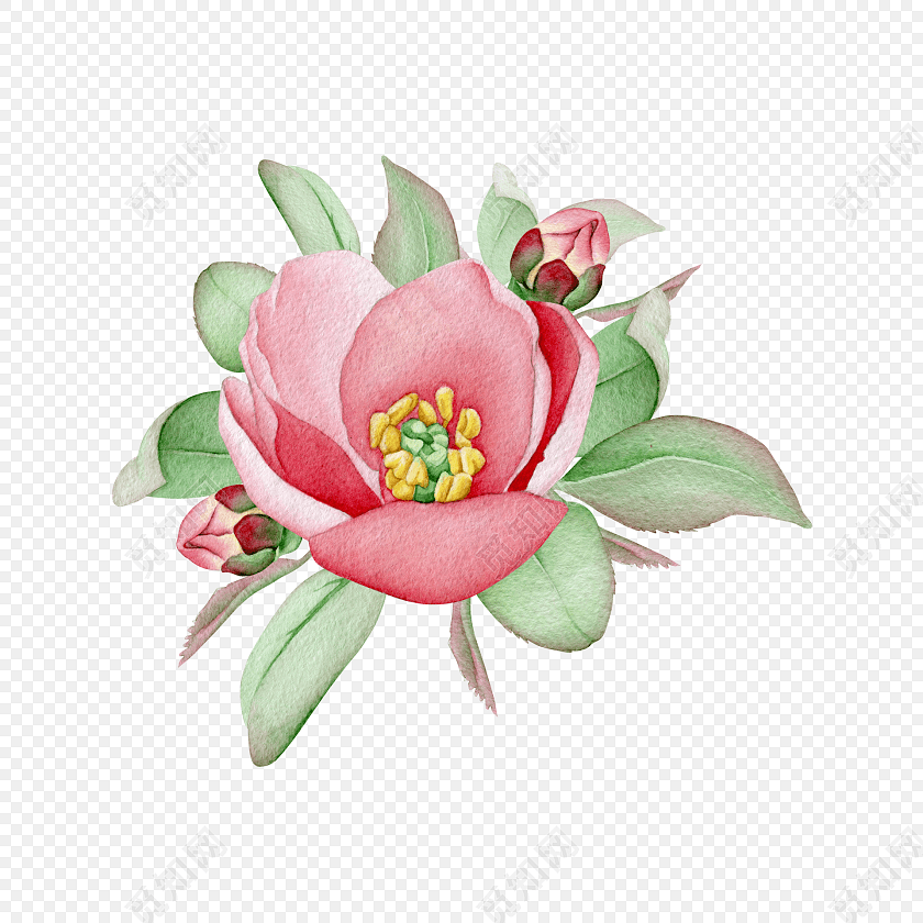 红花花朵免抠素材