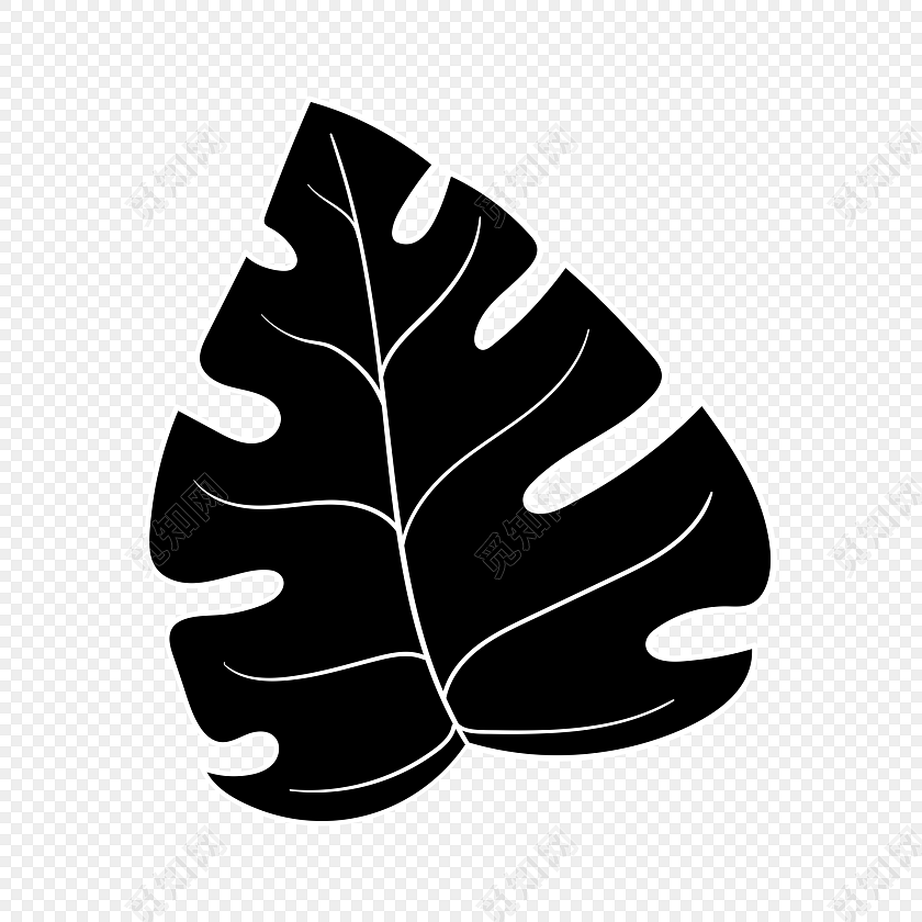 枝叶阴影免抠素材