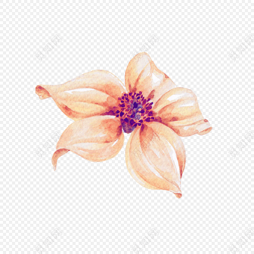 水彩水墨花朵花纹绘画装饰素材