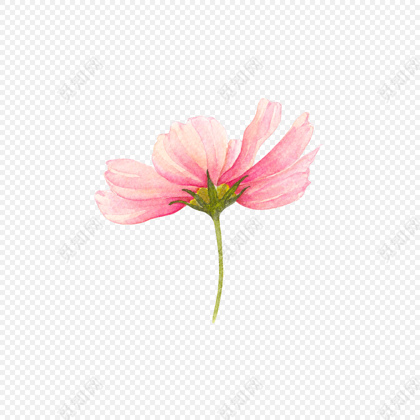 水彩水墨花朵花纹绘画装饰素材