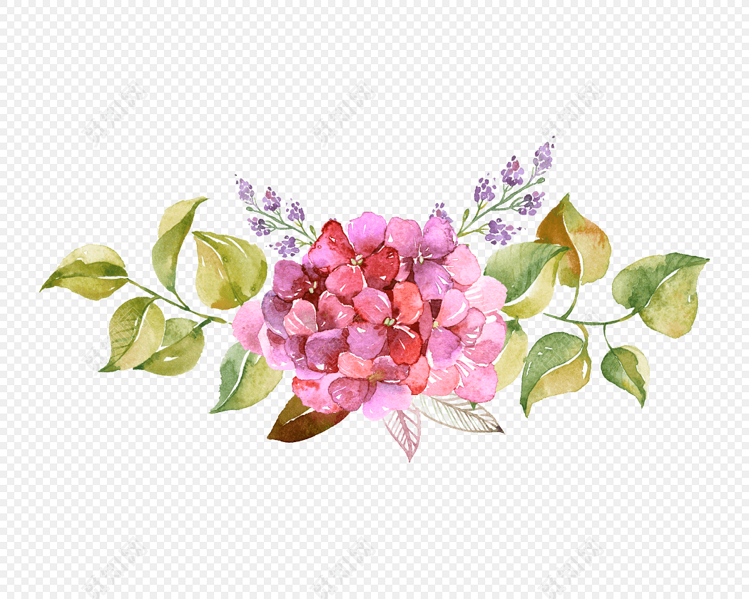 水彩手绘花朵素材