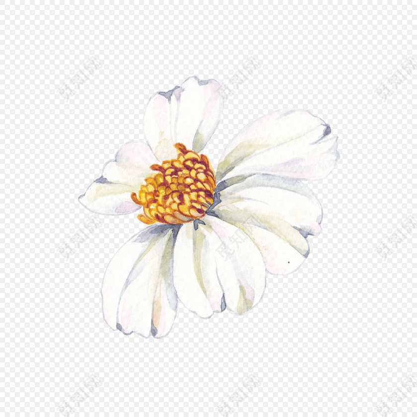 小白花矢量素材
