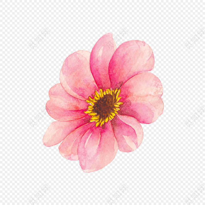 粉红色小花矢量素材