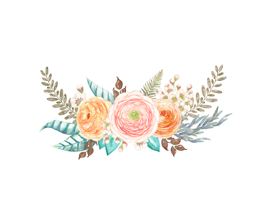 植物插画素材-植物插画图片-植物插画素材图片下载-觅