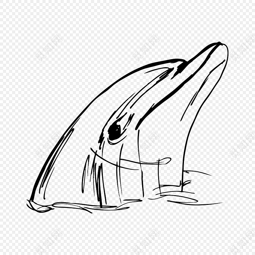 简笔画手绘海豚素材