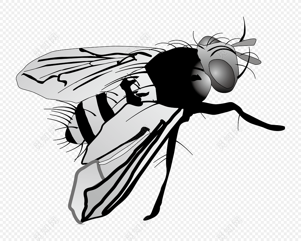 苍蝇动物卡通人物矢量插图。插画图片素材_ID:131861432-Veer图库
