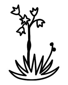 卡通小花小草简笔画素材