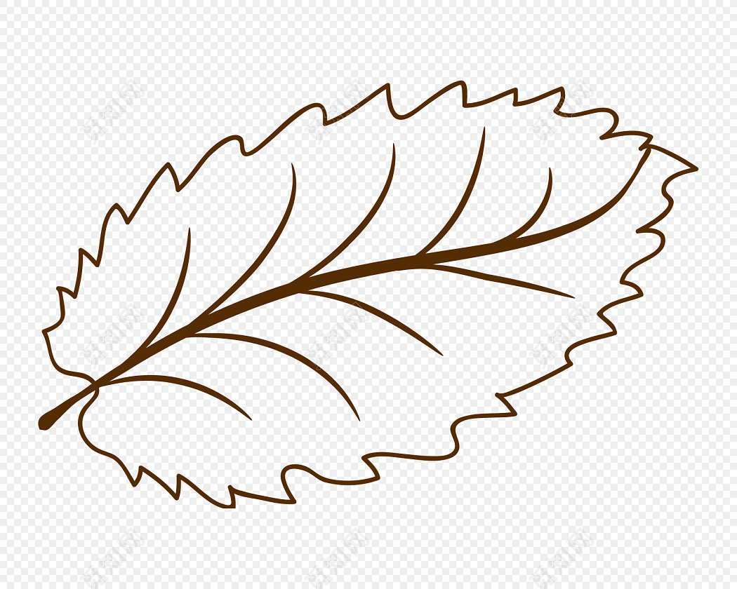 矢量简笔画叶子设计素材