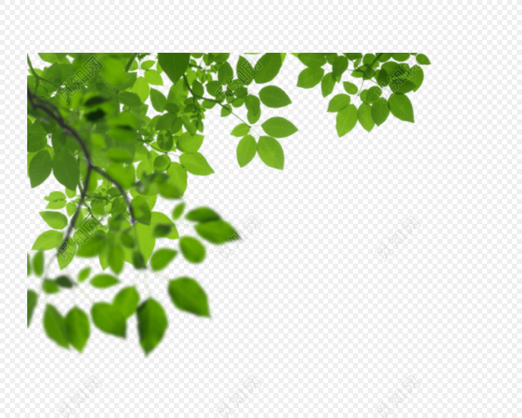 绿色树枝树叶手绘素材