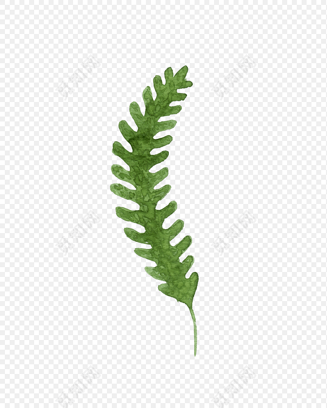 海草状绿色叶子植物素材