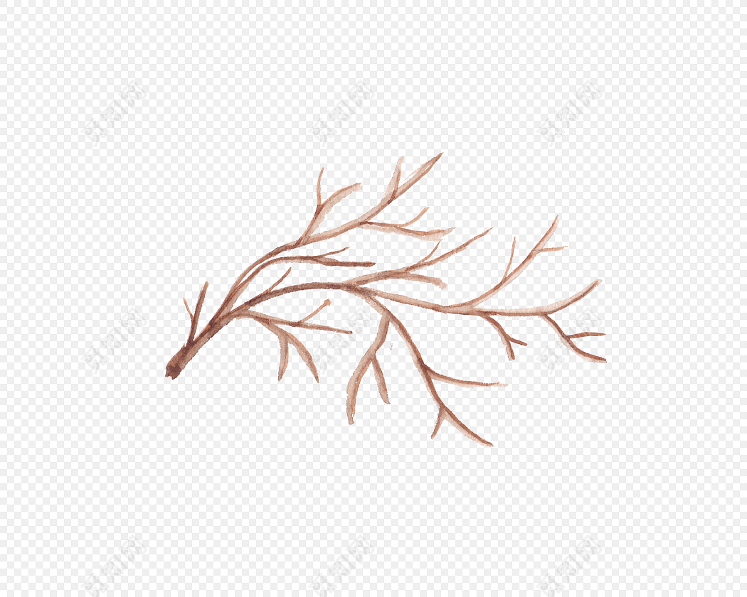 树枝枯树枝条植物素材