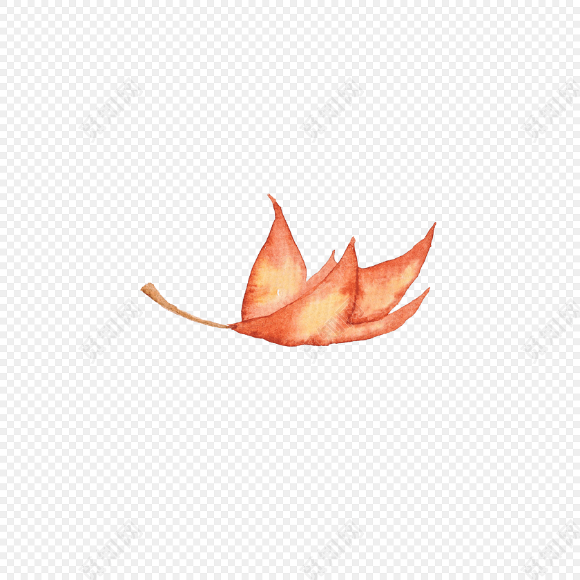 叶子枫叶飘落树叶素材