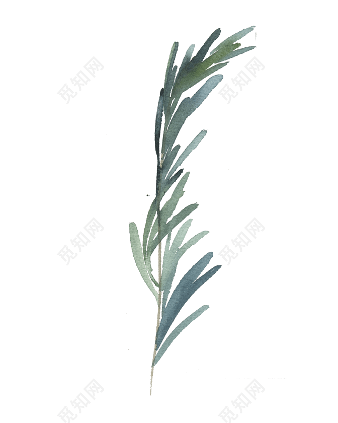 水彩植物绘画素材