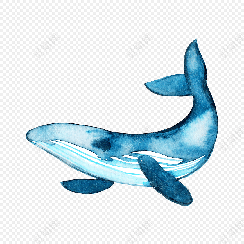 蓝鲸卡通造型