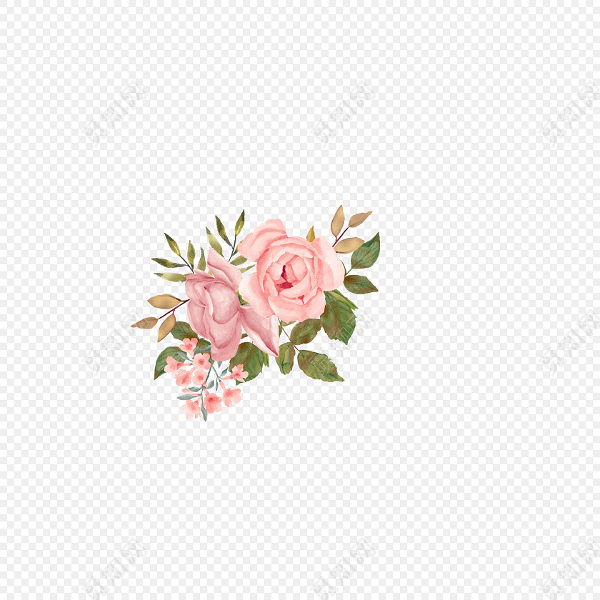粉色玫瑰插画素材