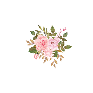 粉色玫瑰插画素材