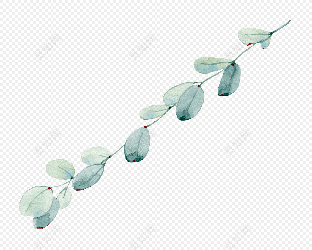 白色唯美植物枝条素材