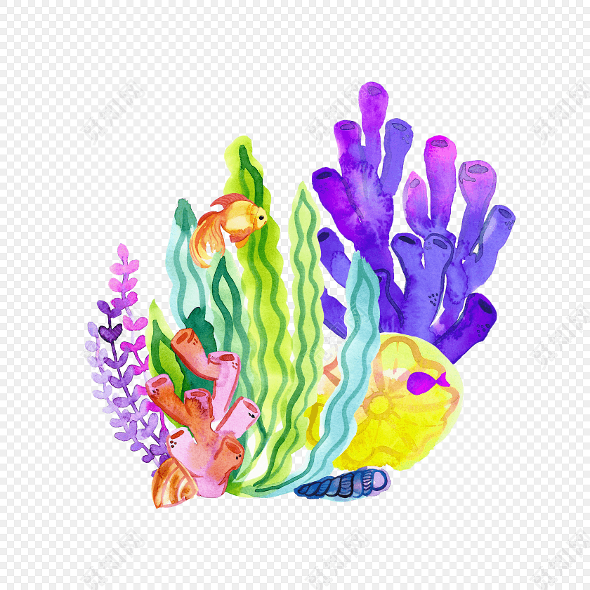 彩色海洋动植物矢量元素