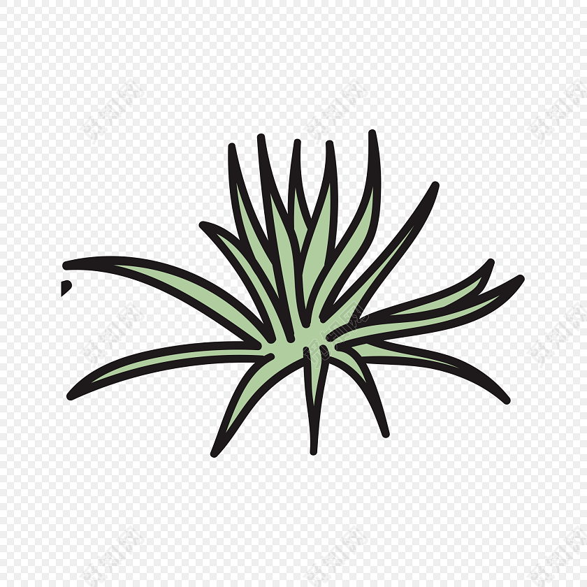 手绘芦荟简笔画素材