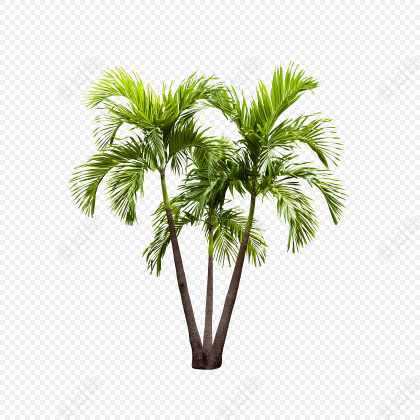pngز¼Լˮǩ:png ز  ͨ ֻ