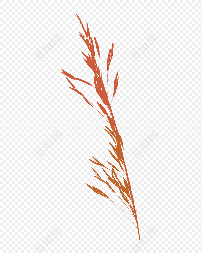 手绘芦苇