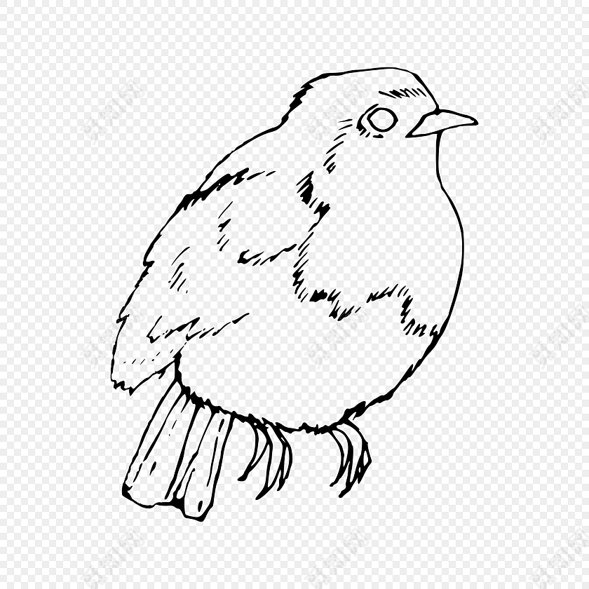 黑色素描简笔画动物小鸟素材