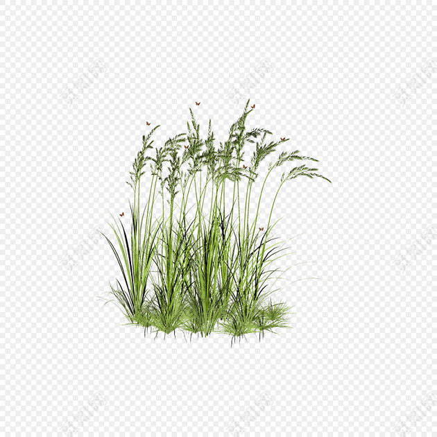 野草草丛矢量图