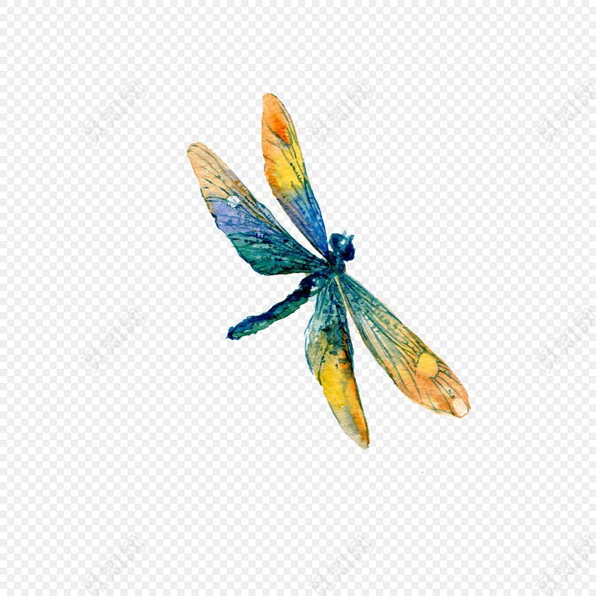 手绘卡通蜻蜓素材
