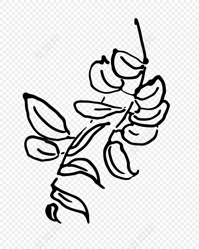 黑色线条植物插画素材
