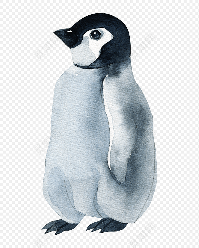 彩色卡通手绘企鹅图片