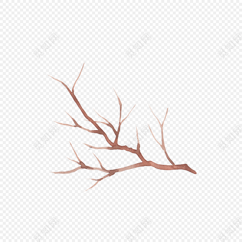树枝手绘图片