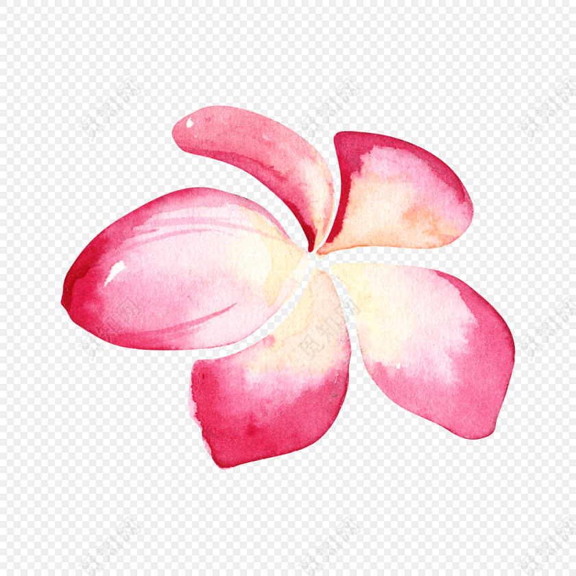素雅粉色淡雅花朵